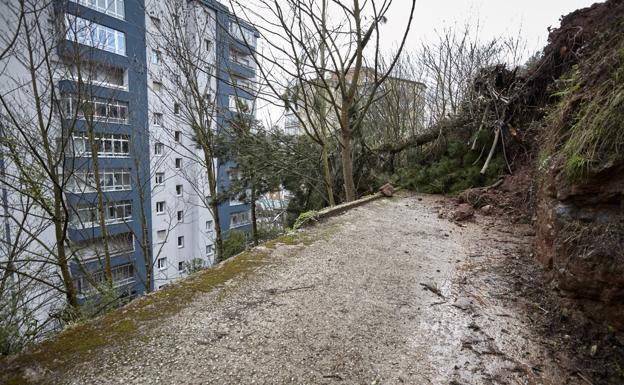 Otro argayo complica reabrir el acceso a Pinos desde Salinas