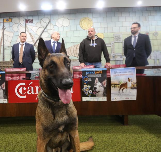 Principets encara una nueva edición con más de 1.500 participantes