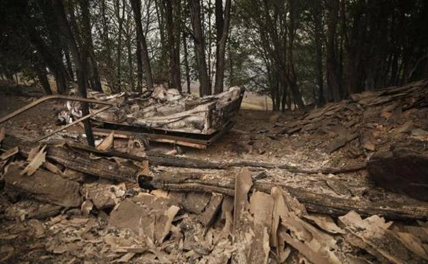 El anuncio de ayudas a zonas quemadas de Asturias dispara las críticas de los ecologistas