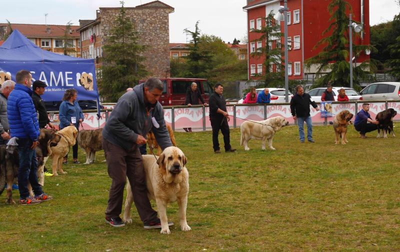 Principets se estrena en La Magdalena