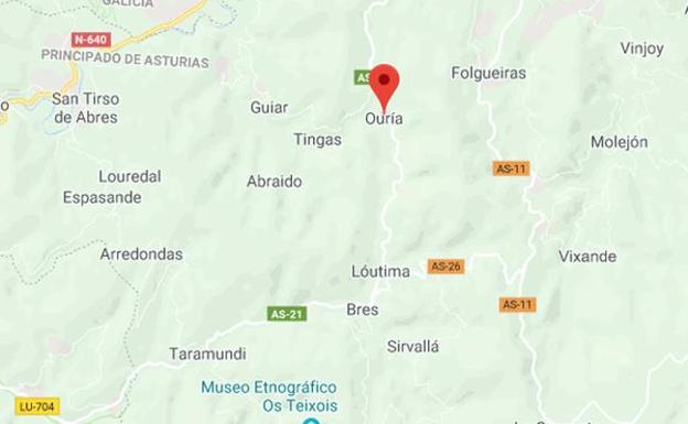 Fallece un trabajador forestal al caerle encima un árbol en Taramundi