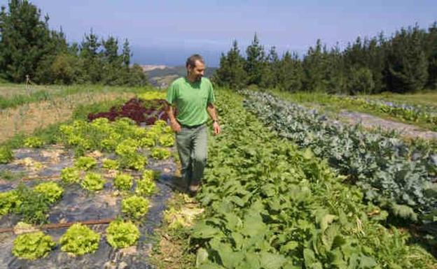 La ley de calidad alimentaria regulará la producción ecológica