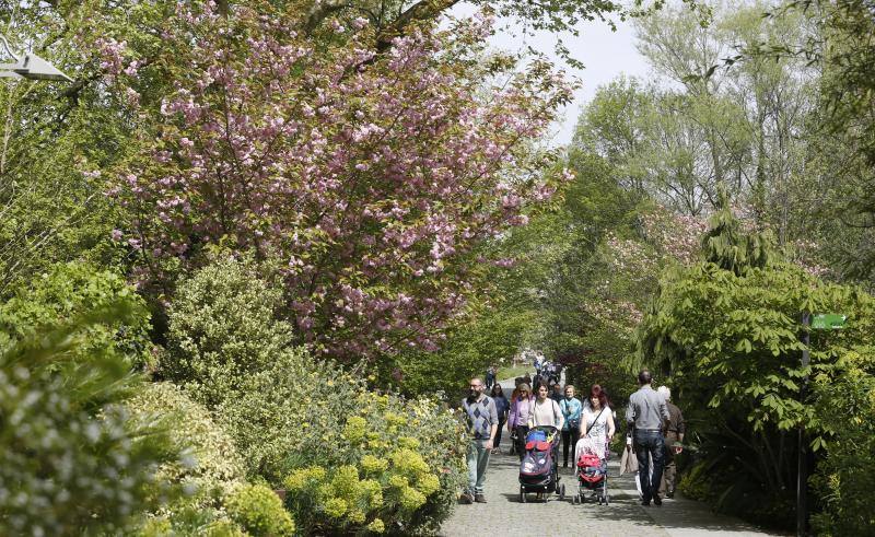 Casi 5.000 personas para celebrar el cumpleaños del Botánico