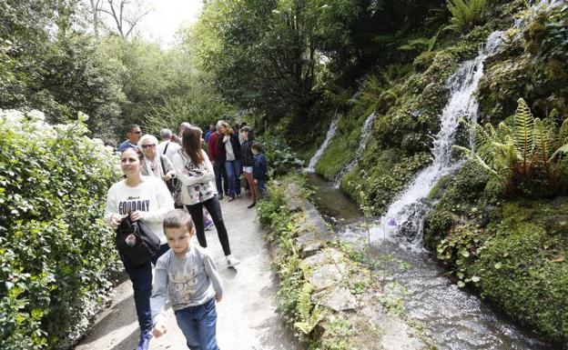 Ante la vida, «levántate y cucha»