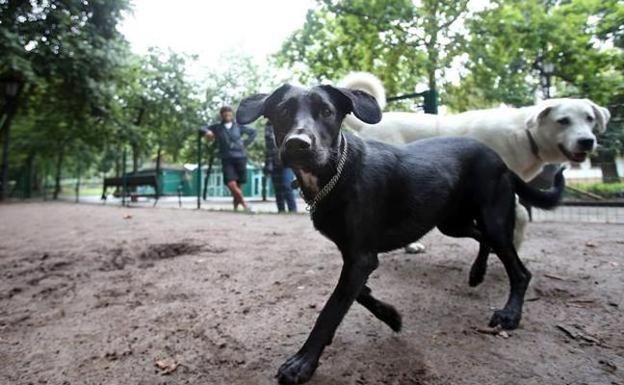 El PP pide acotar una zona para perros en el parque de la Fábrica de Loza