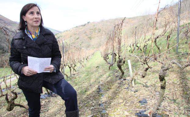 Carmen Martínez: «Con la semilla de la vid se puede hacer aceite de calidad»