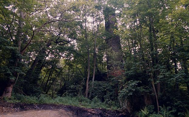El Ayuntamiento de Oviedo pide conectar a la red los vertidos del depósito de La Manjoya