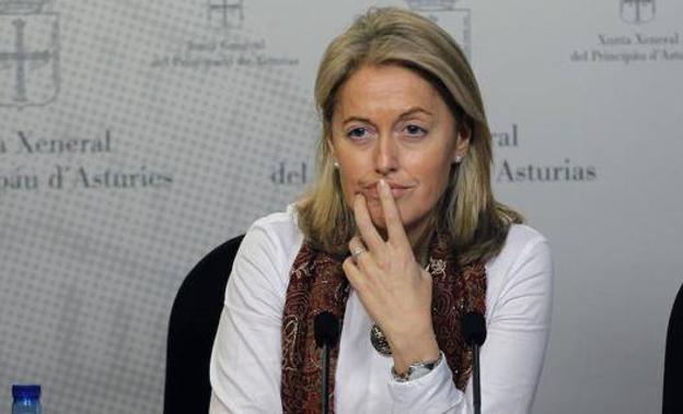 Coto denuncia la «escandalosa ausencia» de políticas de natalidad en Asturias