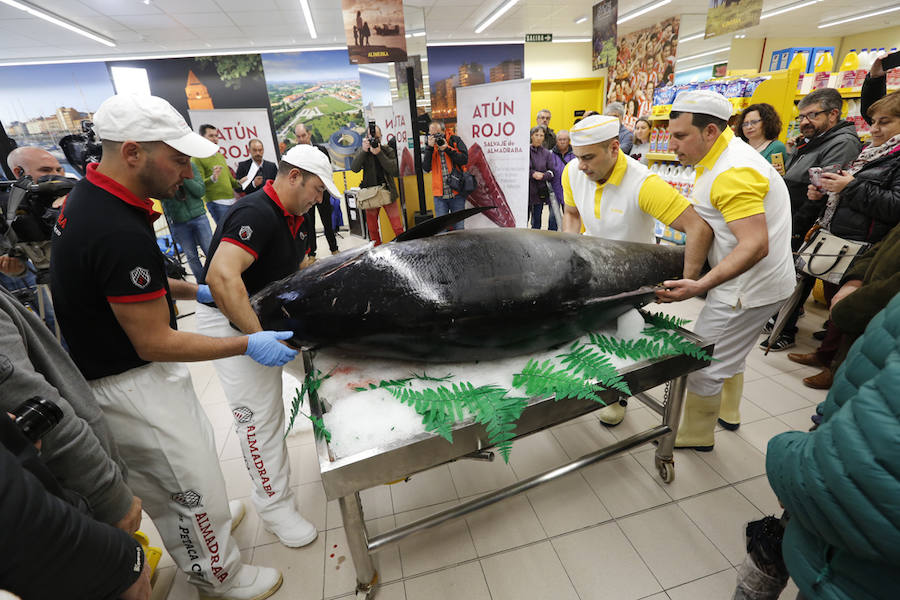 Un atún rojo de 284 kilos, despiezado en Gijón