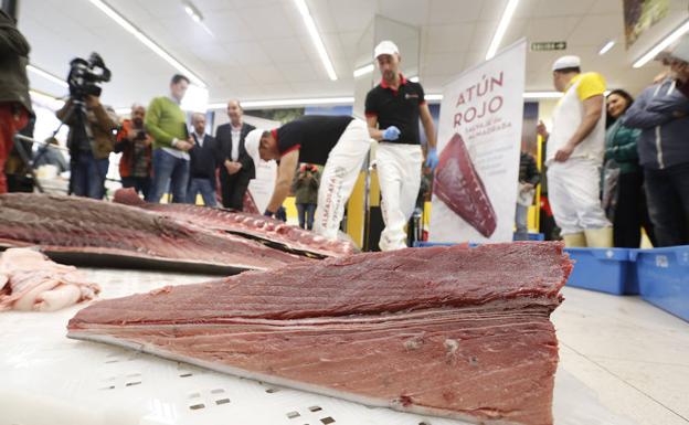 Vuelve el atún rojo más tradicional