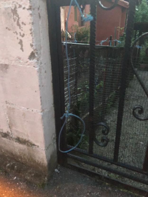 Denunciado un vecino de Turón por colocar lazos para «matar gatos»