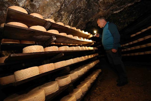 Los elaboradores del queso Cabrales se quedan sin espacio en las cuevas