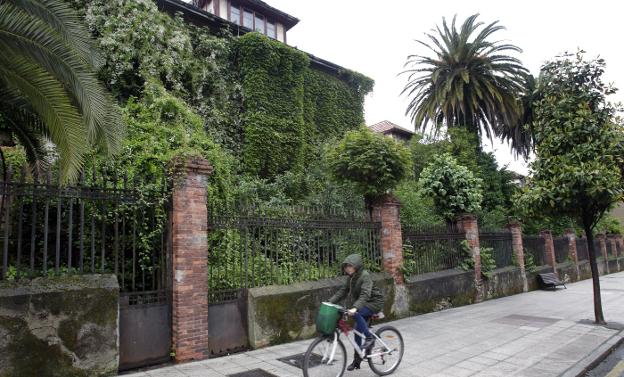 La maleza se come los chalés de La Vega