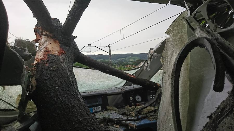 Un tren Alvia con 97 pasajeros se empotra contra un árbol en Villabona