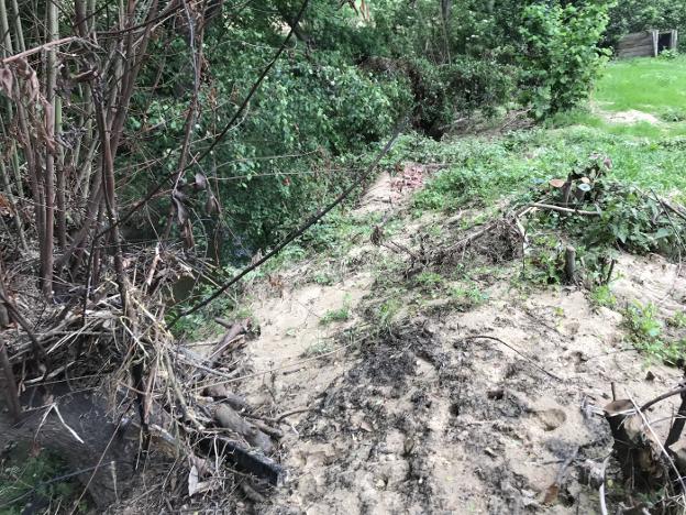 Frente común para limpiar el Pinzales