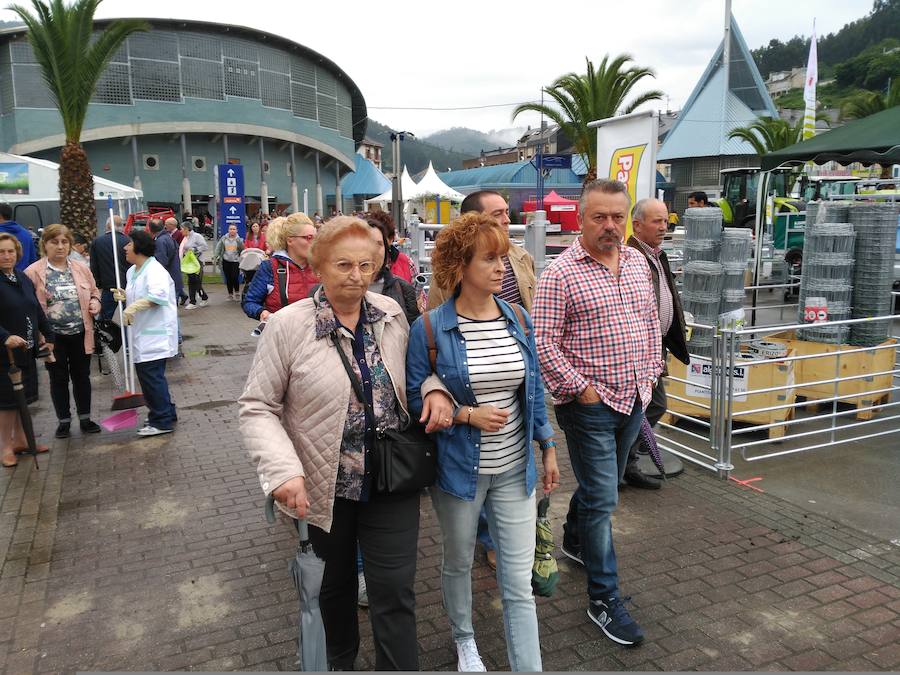 LV Feria de Muestras de Vegadeo