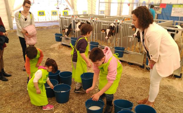 Vegadeo, con futuro ganadero