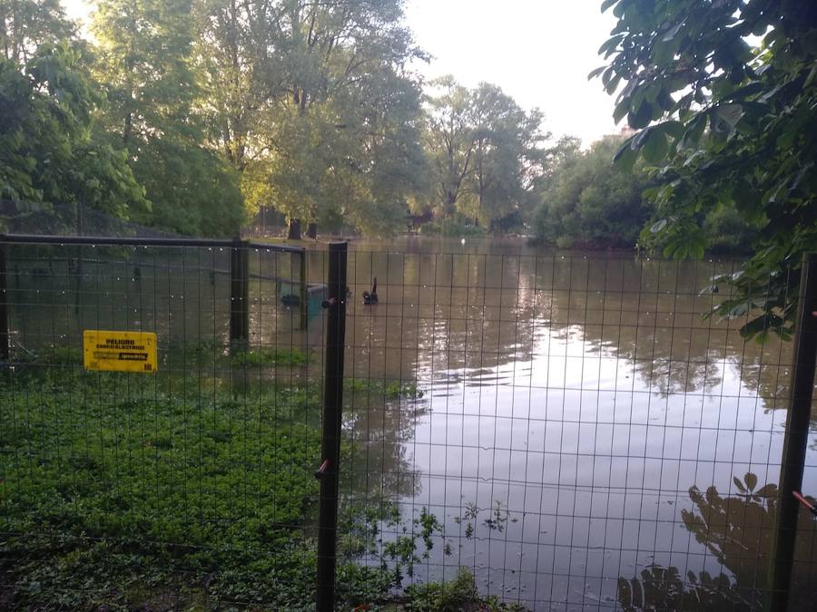 El parque de Isabel de la Católica, anegado