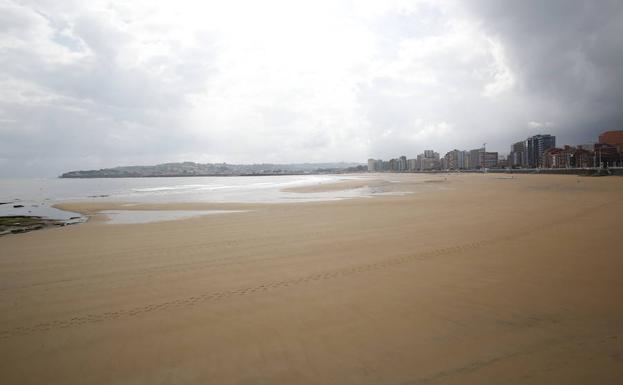 San Lorenzo reabre al baño con banderas verde y amarilla