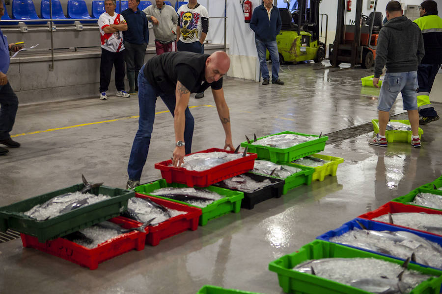 Primera subasta de la temporada de la costera del bonito en Gijón