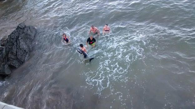 Bañistas de Candás se unen para salvar sin éxito a un delfín varado