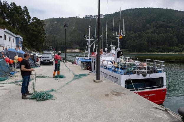 La cofradía de Bustio confía en que el dragado haga crecer sus ventas