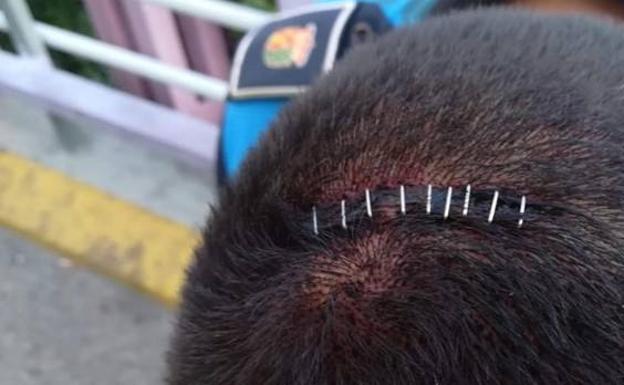 Brutal paliza a cuatro policías por pedir a un grupo que bajara la música en una vivienda