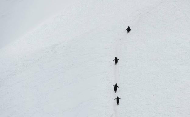 Se registran por primera vez temperaturas de -98 grados en la Antártida