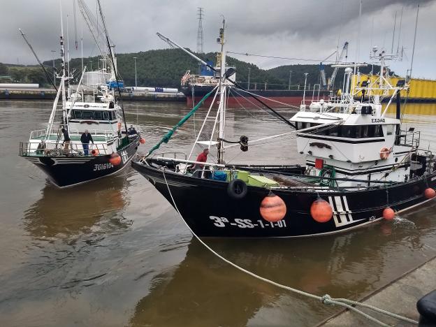 Las tres primeras semanas de costera de bonito se cierran con 83.000 kilos