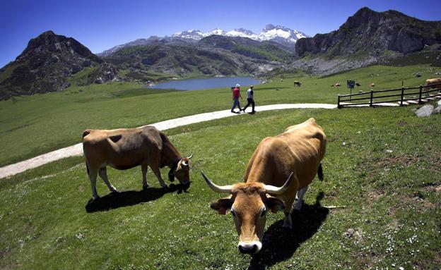 La espectacular belleza que protegen los parques nacionales desde hace cien años