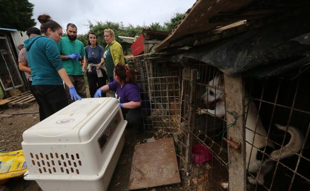 «Nunca había visto nada así»