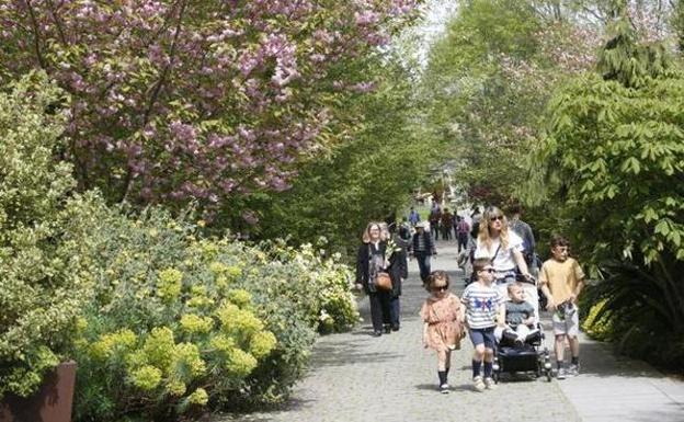 Divertia adjudicará a DN Seguridad la vigilancia en el Botánico para los próximos dos años