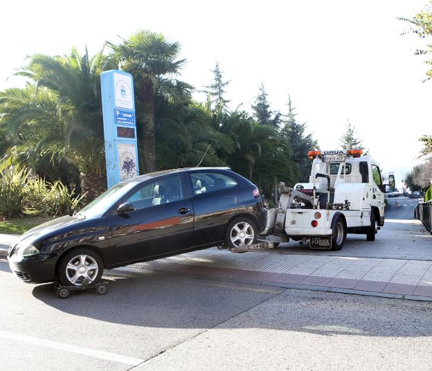 El extraño caso del concejal escondido tras unos árboles