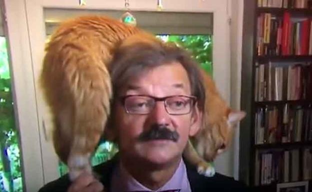 La cómica irrupción de un gato en una entrevista sobre tensión política en Polonia