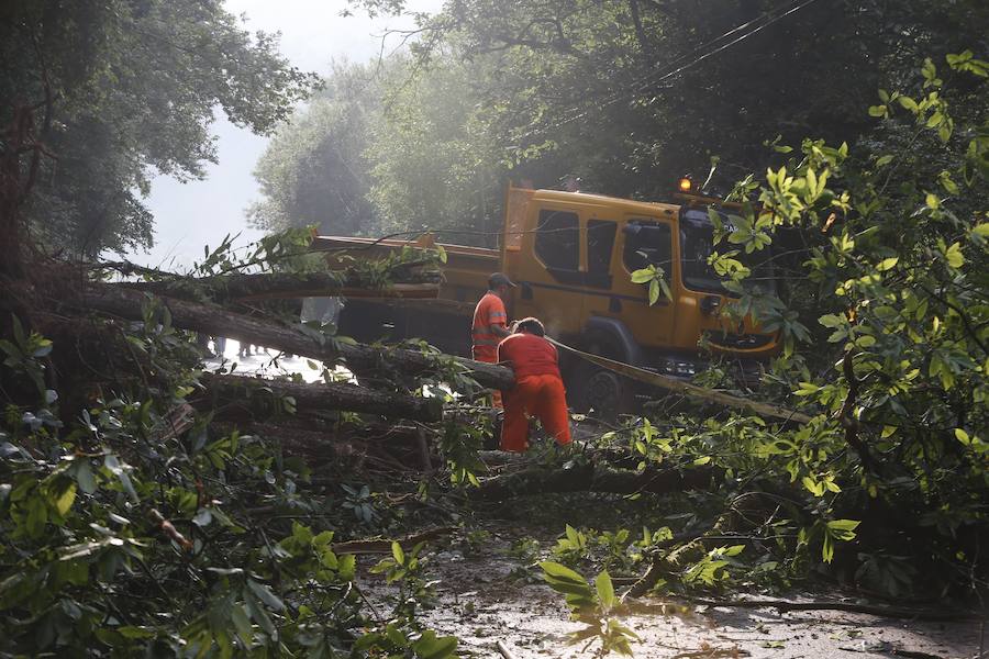 Dos argayos cortan sendas vías en Cabrales y Grado en una jornada marcada por la lluvia