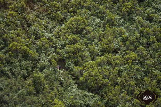 Rescatan a siete senderistas belgas perdidos y sin agua en Peñamellera Alta