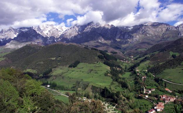 Aparece el cadáver de un oso pardo en el parque de Picos de Europa