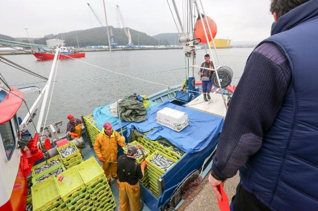 La rula aumenta la facturación pese a que desciende la cantidad de pescado subastado