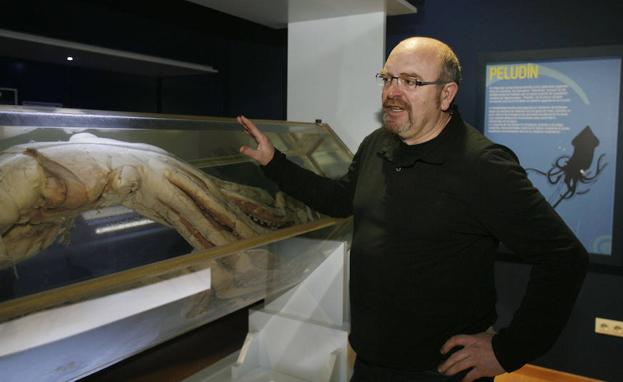 Luis Laria no estará al frente del futuro Museo del Calamar Gigante de Luarca