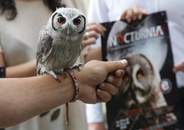 Vuelos nocturnos en el Botánico
