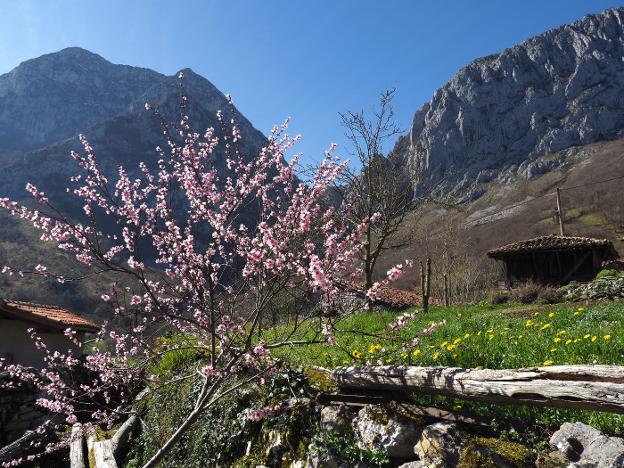 Siete maravillas con gancho