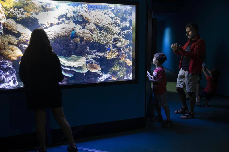 Recorrido por el Acuario de Gijón