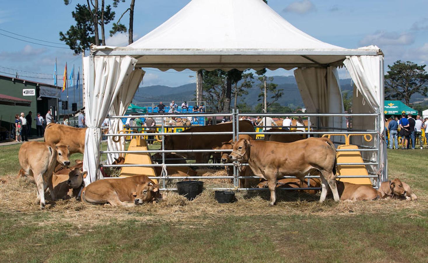 La Feria Ecológica FAEPA comienza el 10 de agosto