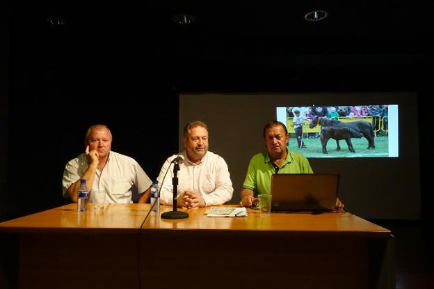 'Indomable' y 'Escurridizu' serán los asturcones a batir en Espineres