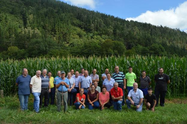 El Valle de Navelgas, harto del jabalí