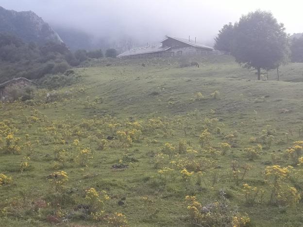 La Federación de Montaña propone una sextaferia para quitar la flor de Santiago