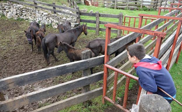 El «arte» de domar a 'Indomable'