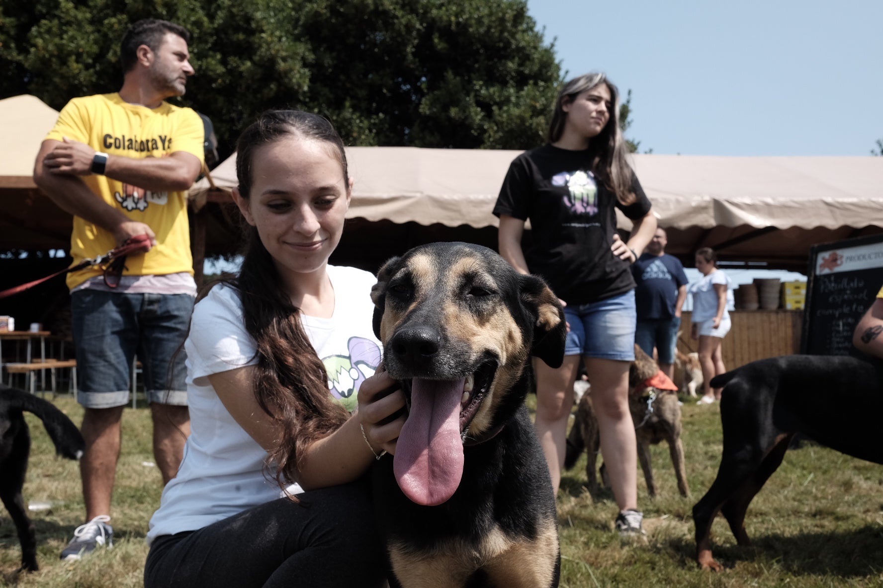 Contrueces abre las fiestas del barrio a un encuentro para adoptar perros