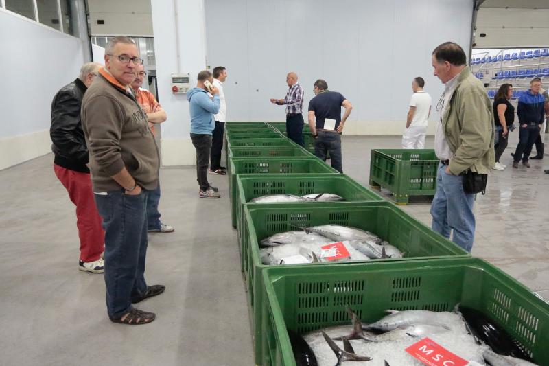 La subasta de más de 45.000 kilos de bonito pone fin a la temporada