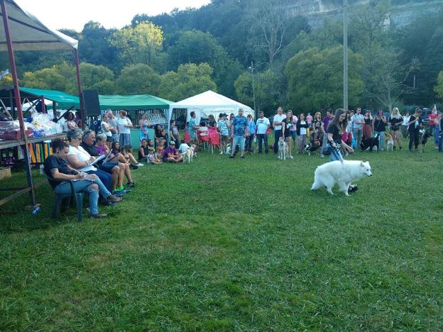 Desde La Cueva a un nuevo hogar